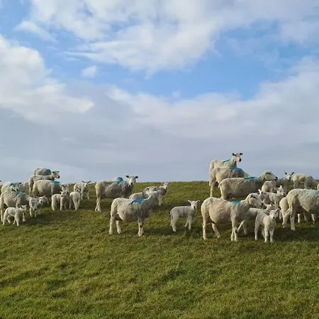 Апартаменты Haus Schau Ins Land Nah An Der Nordsee Emmelsbull-Horsbull