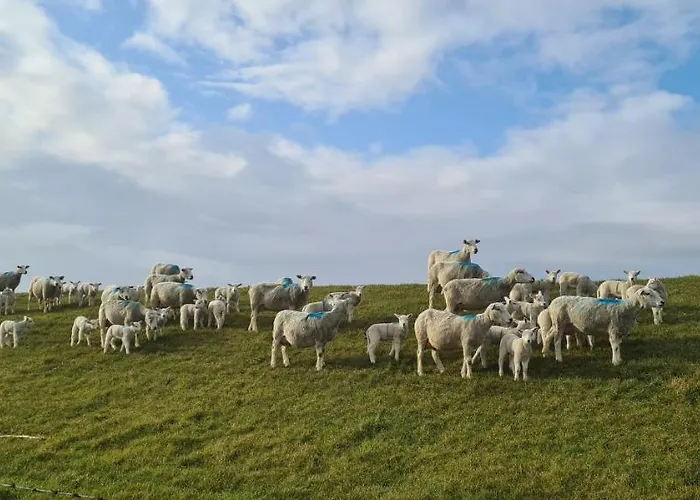 Appartement Haus Schau Ins Land Nah An Der Nordsee Emmelsbüll-Horsbüll